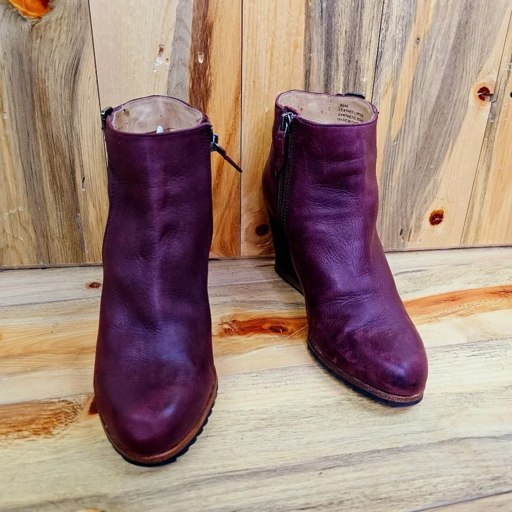 Biala alaina purple